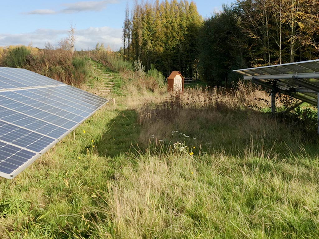 ZMf leidt nieuwe Energieboswachters op voor meer biodiversiteit bij zon- en windparken