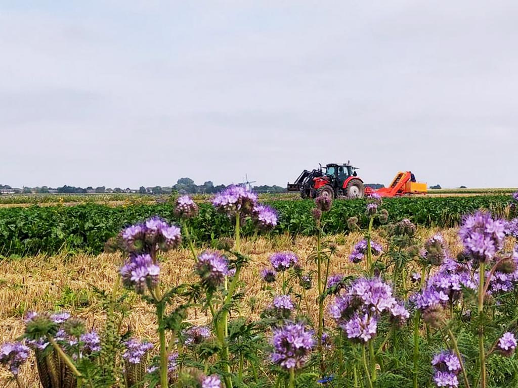 Slotevent Naar meer biodiversiteit door gewasdiversiteit