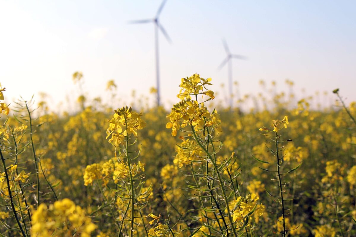 Gezond leefklimaat in gevaar