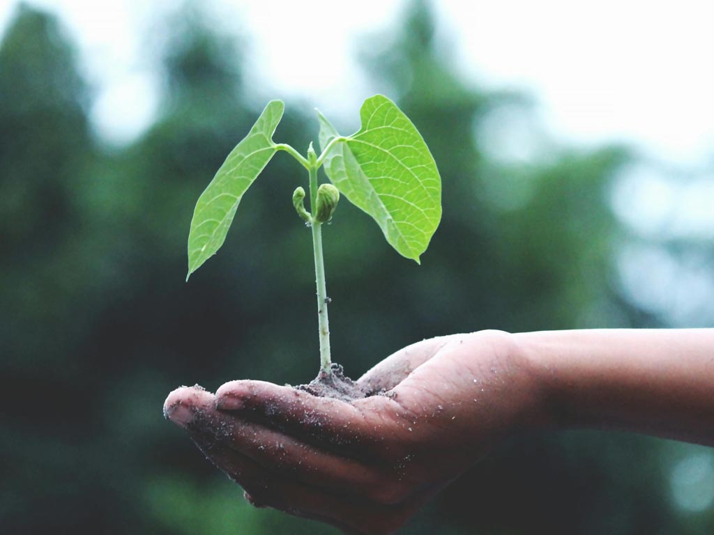 Doe mee aan Green Friday