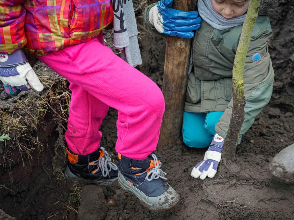 36.000 boompjes klaar voor planten in Zeeuwse tuinen