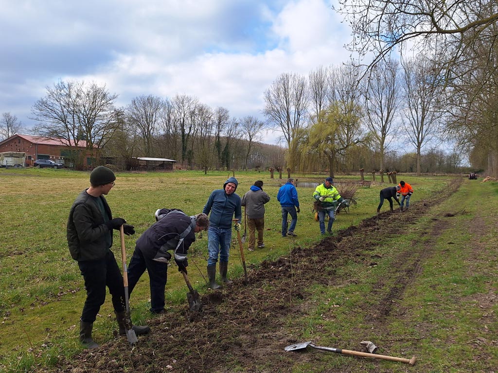 Plantdag Zeeuwse bosjes en hagen in Axel