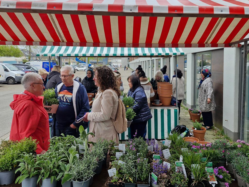 Blije gezichten en potten vol groen in Dauwendaele