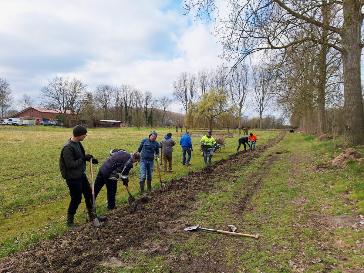 Zeeuwse bosjes en hagen op 10 locaties