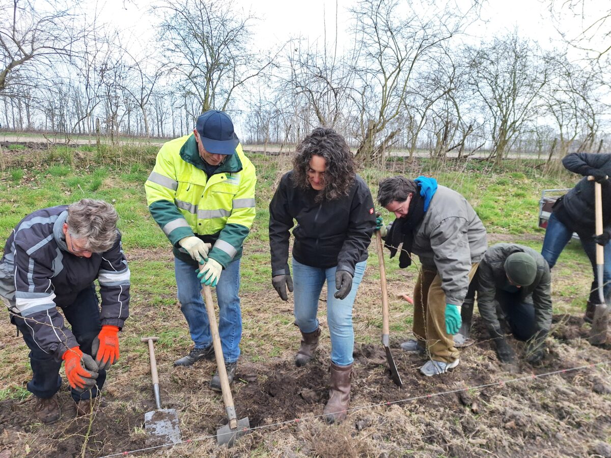 Zeeuwse bosjes en hagen zoeken grond voor komend plantseizoen