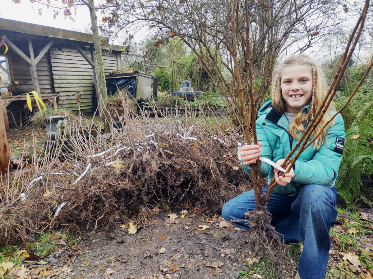37.000 Boompjes maken Zeeuwse tuinen groener