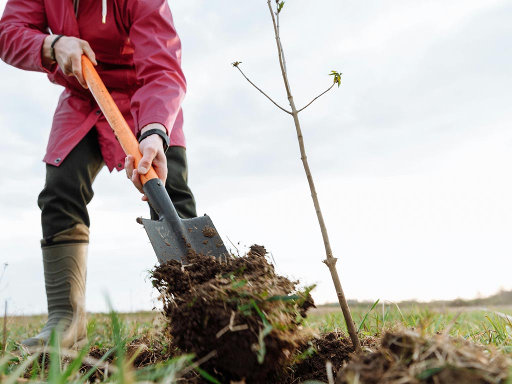 Zeeuwse tuineigenaren willen zelf met hun groene vingers aan de slag