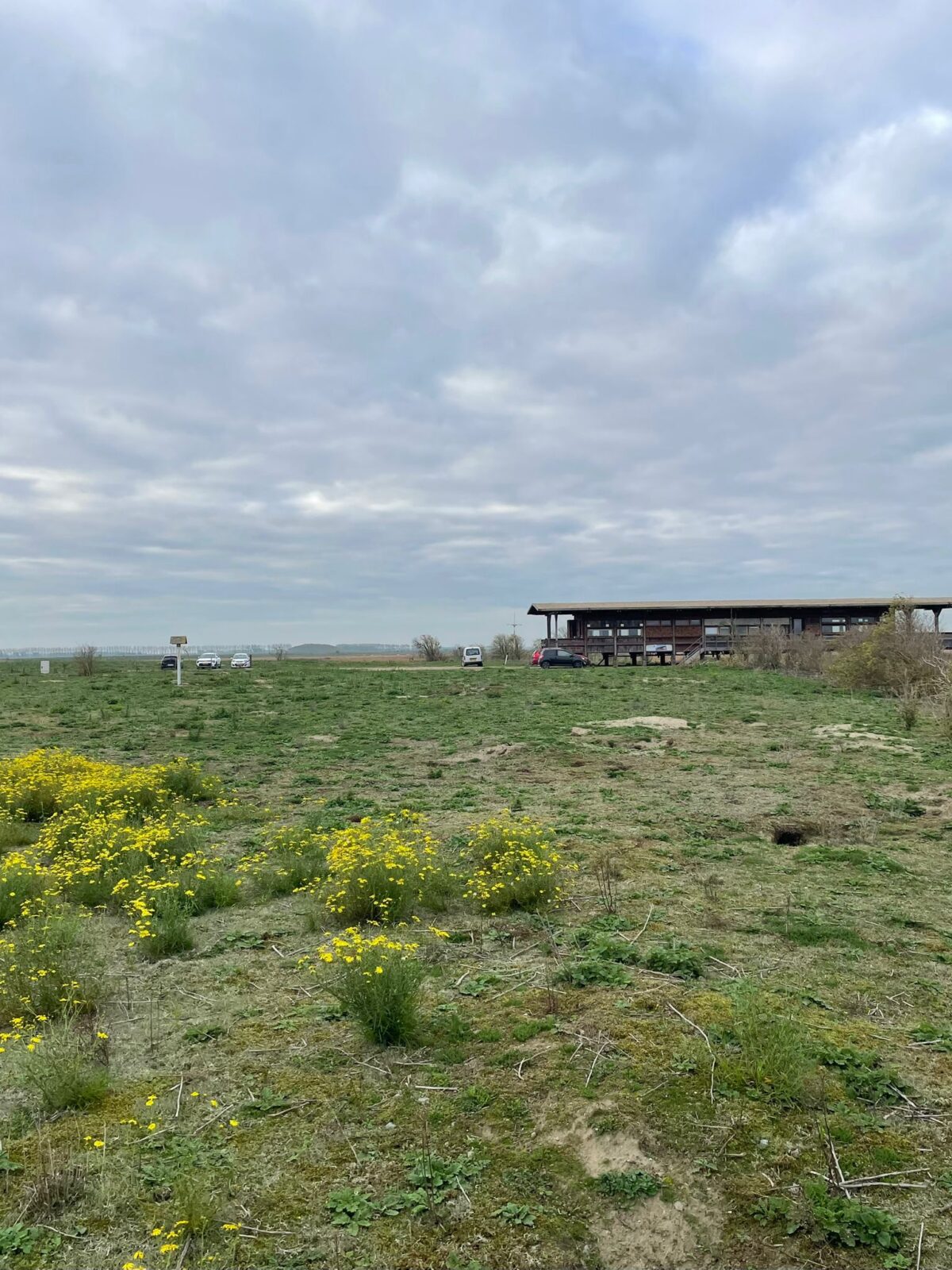 Verslag: jongerenactiviteit Vogelringen in Grenspark Groot Saeftinghe