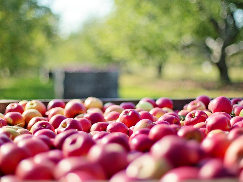 Zienswijze tegen verplaatsing fruitbedrijf Van Damme