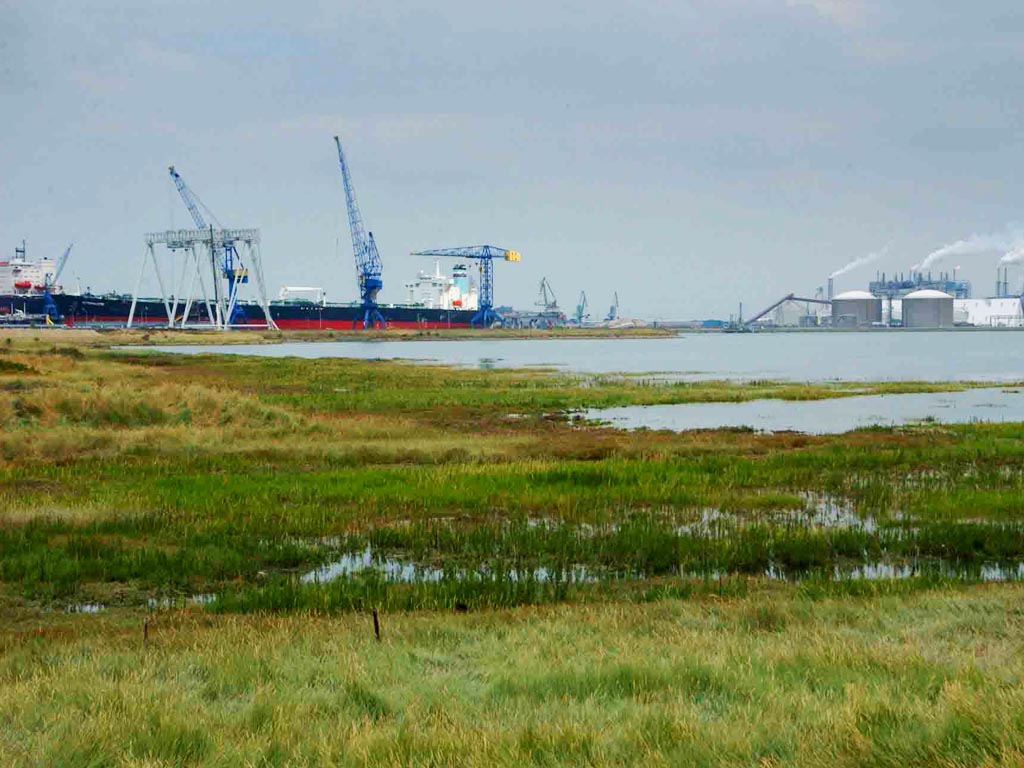 Industrie van de toekomst: natuurinclusief