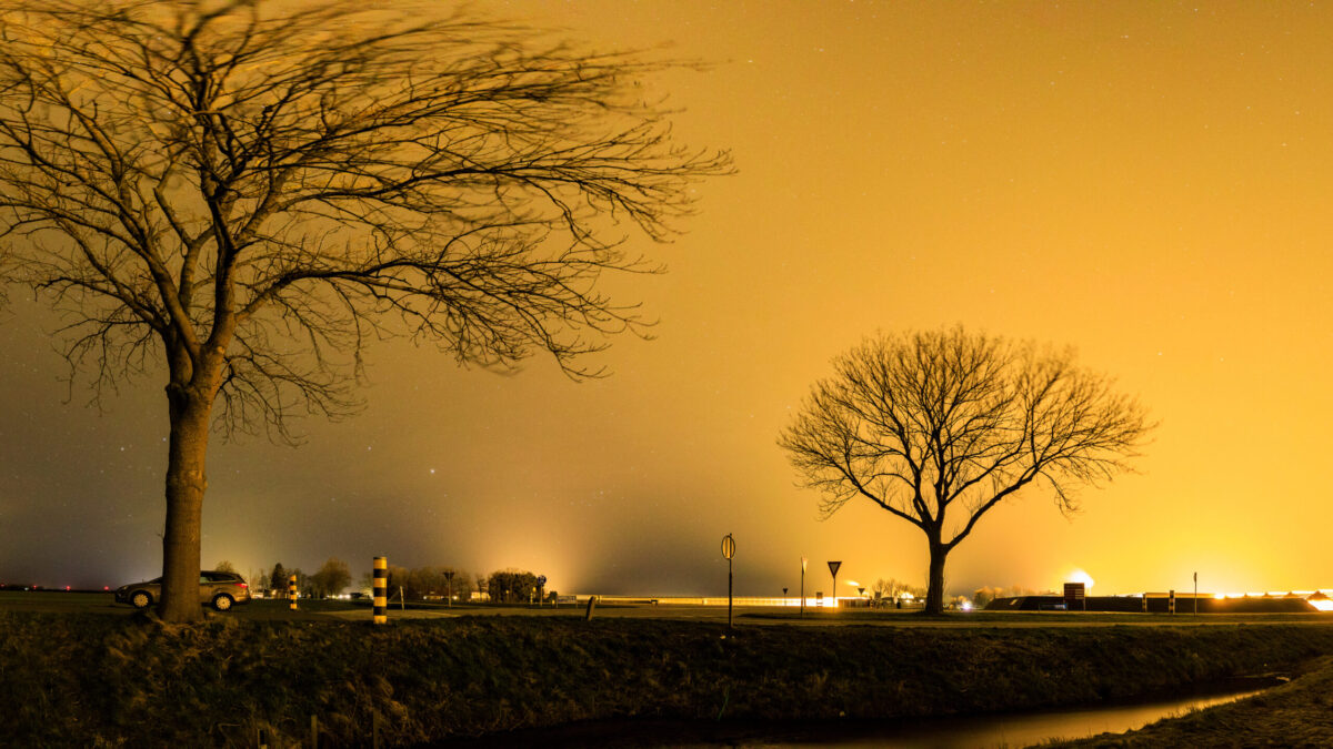 Nederlanders willen het donker terug: lichtvervuiling verstoort nachtdieren en onze gezondheid