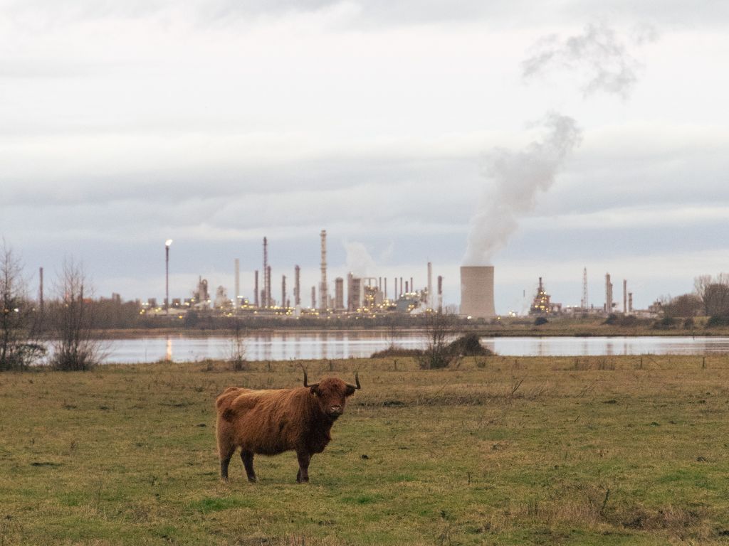 Rechtszaak tegen Nederlandse staat: PFAS vervuiling direct stoppen