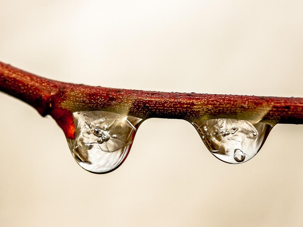 Toekomstbestendige zoetwatervoorziening in Reimerswaal