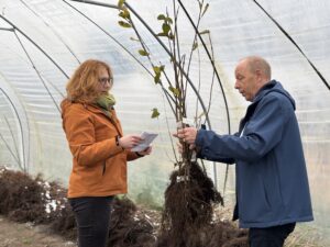 Gratis boompjes uitdelen
