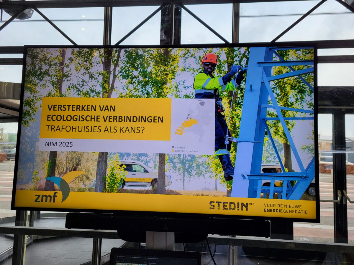 Bijeenkomst Stedin op NIM25 over natuurinclusieve plaatsing van trafohuisjes