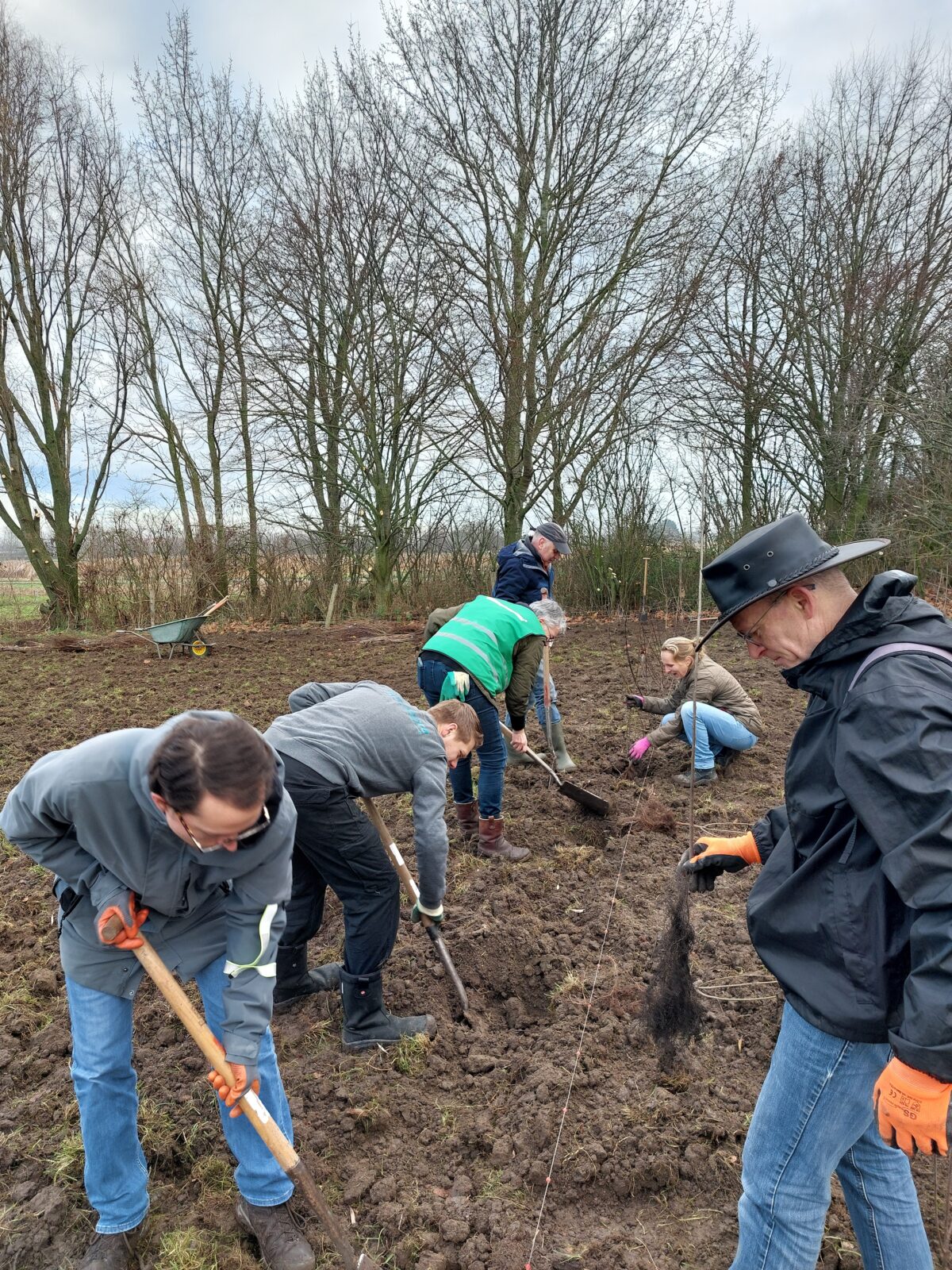 Kruiningen met ruim 300 boompjes en struiken vergroend