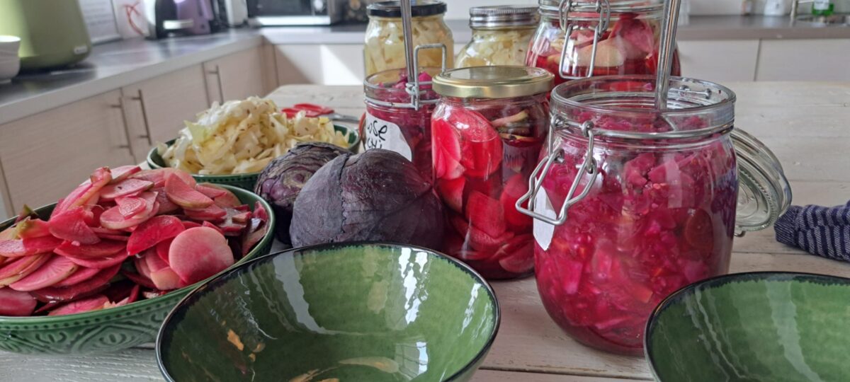 Lekker plantaardig: circulaire netwerklunch bij Dockwize!