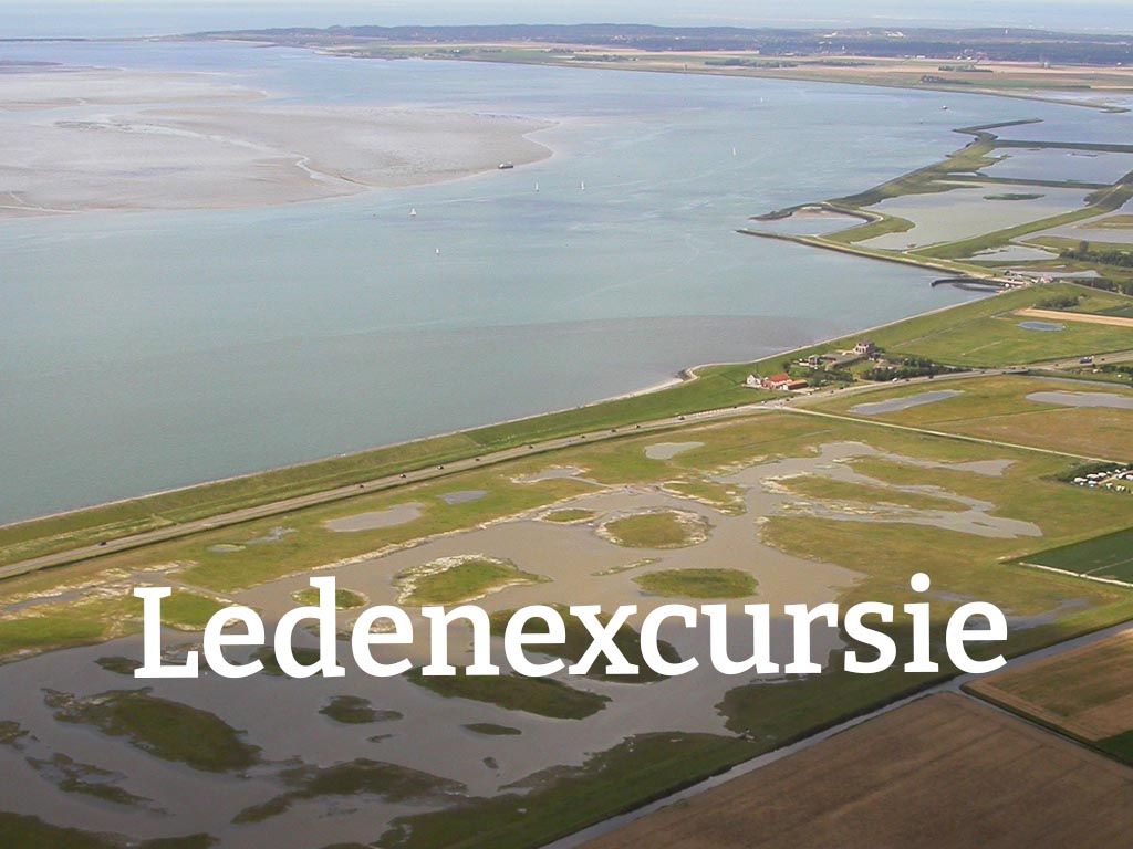 ZMf 40 jaar: exclusieve ledenexcursie!
