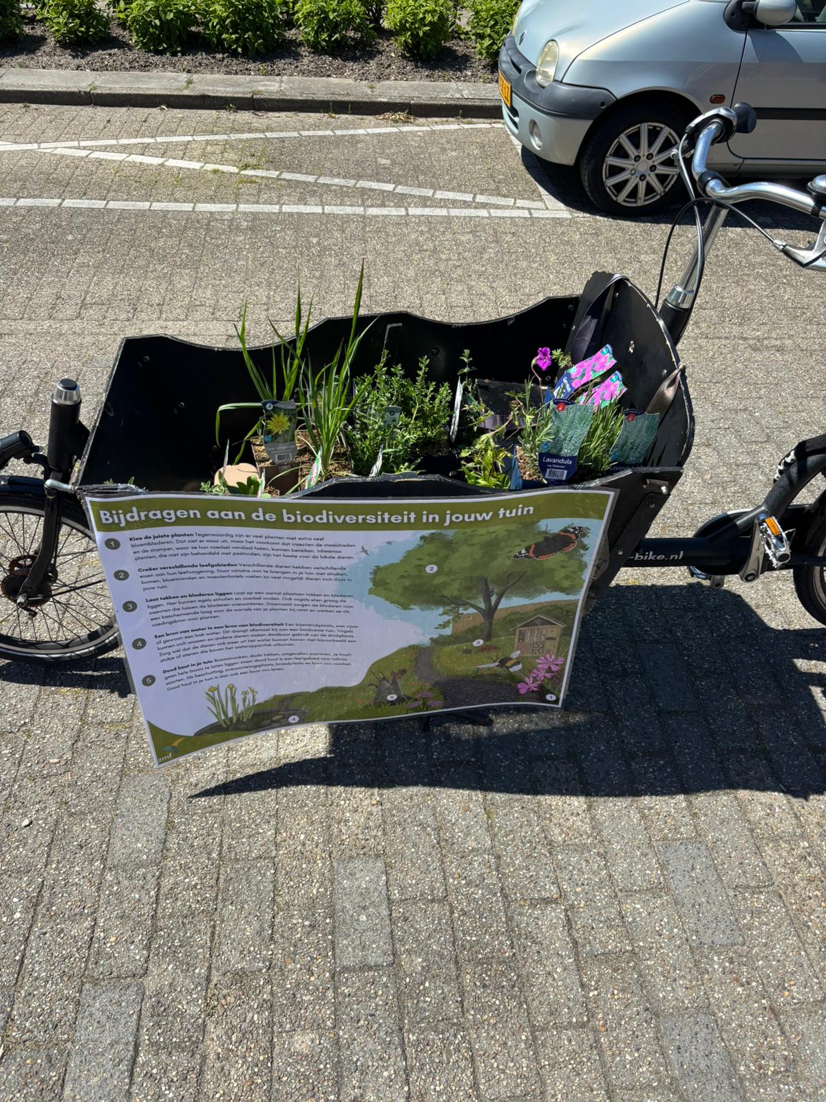 Plantjes en ijsjes: met bakfietsen door wijk Westerzicht