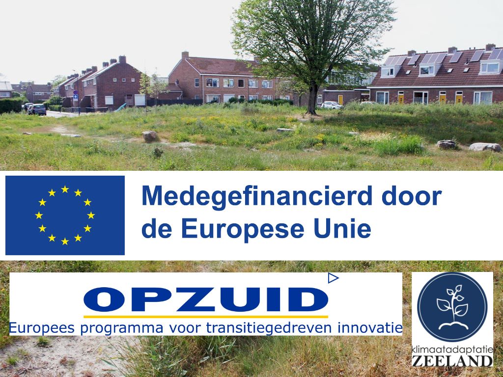 Klimaatadaptatie Zeeland: toekomstbestendige woonwijken in Middelburg en Vlissingen