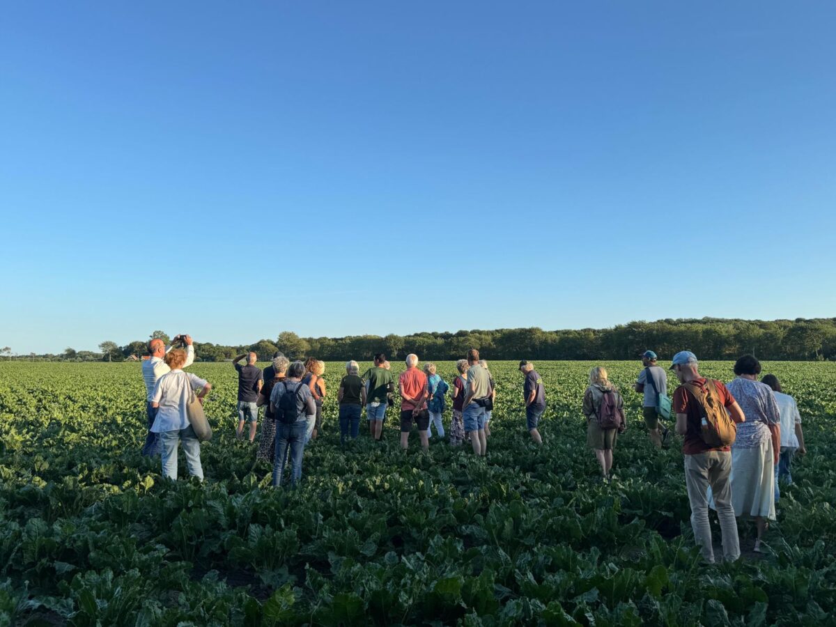 Op excursie naar landbouwbedrijf en camping Innerduyn!