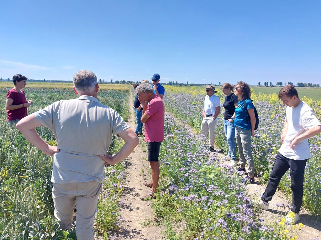 Samen werken aan weerbaarheid en een groene polder: twee nieuwe landbouwprojecten
