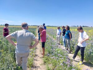 Foto veldbezoek voor De Groene Ondernemer