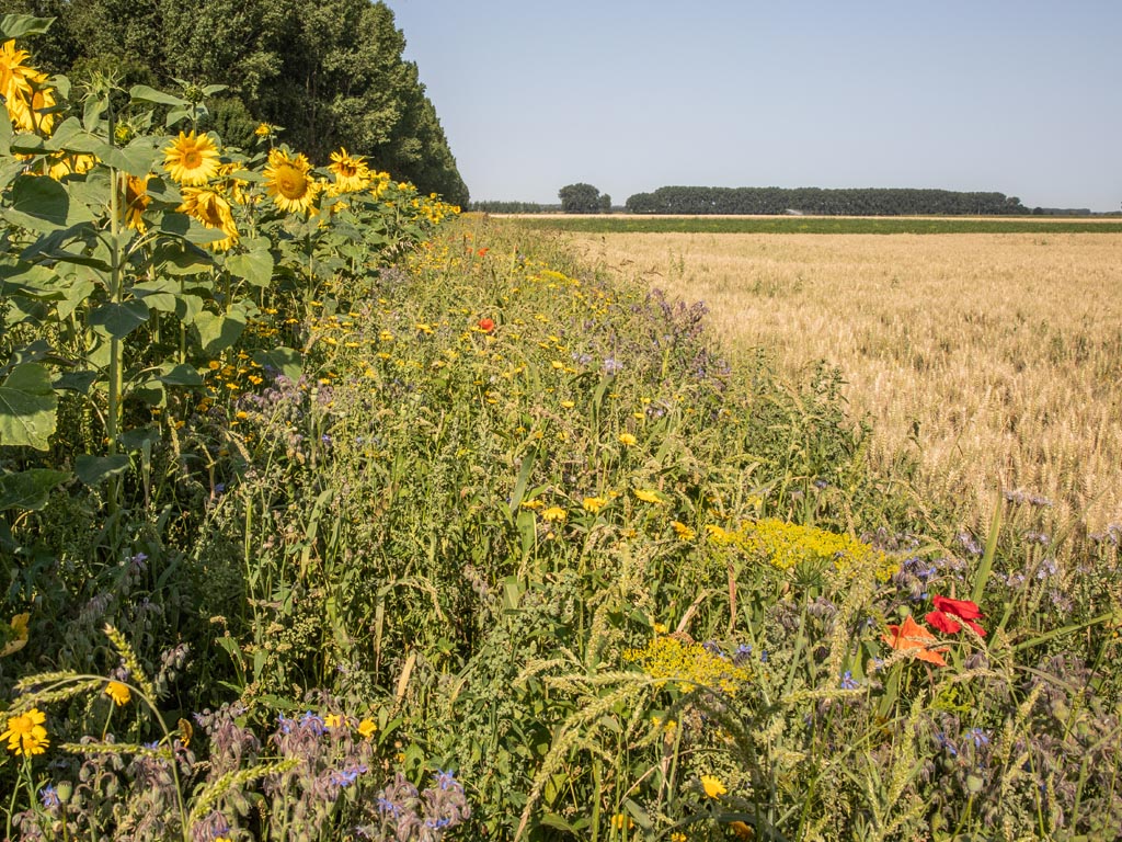 De Groene Weerbare Ondernemer en Het hele jaar door een groene polder