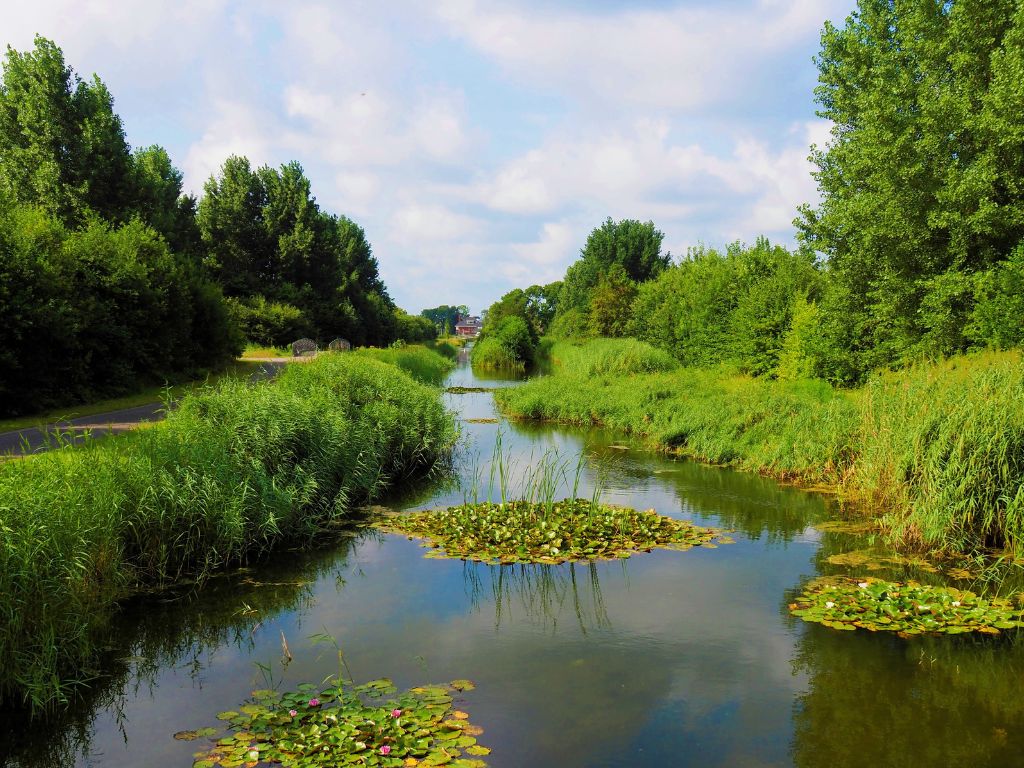 Kabinet zet belangrijke stap: nu doorpakken voor natuurherstel
